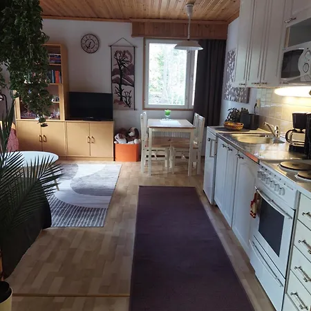 Maentyrinteen Apartment